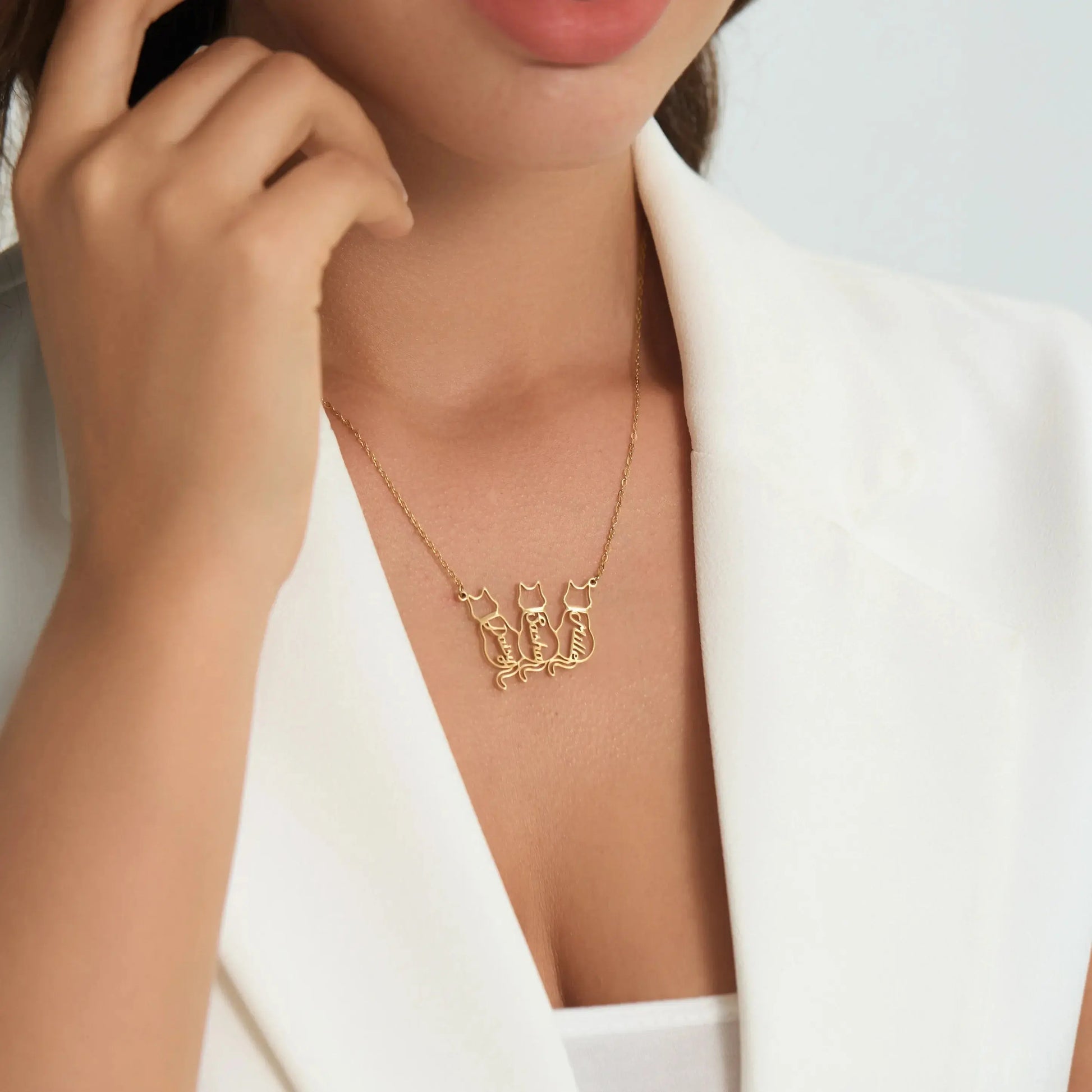 Personalisierte Hunde-/Katzenkette mit Namen  ErinnerungSchmuck